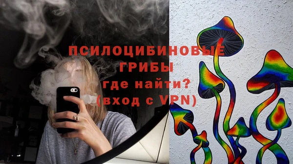 прущая мука Абаза