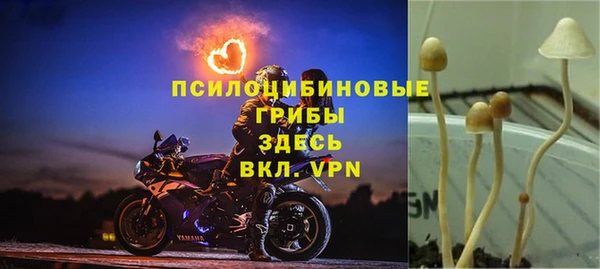 MDMA Алзамай