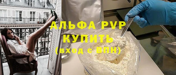 сатива Осинники