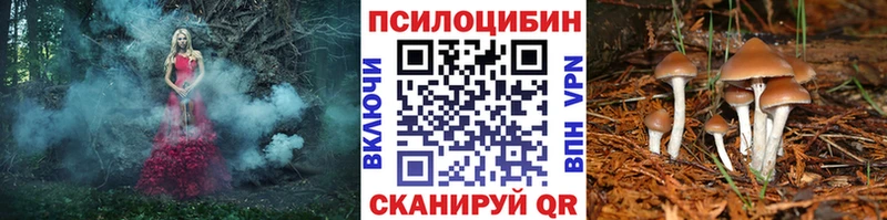 Галлюциногенные грибы ЛСД  kraken рабочий сайт  Торопец 